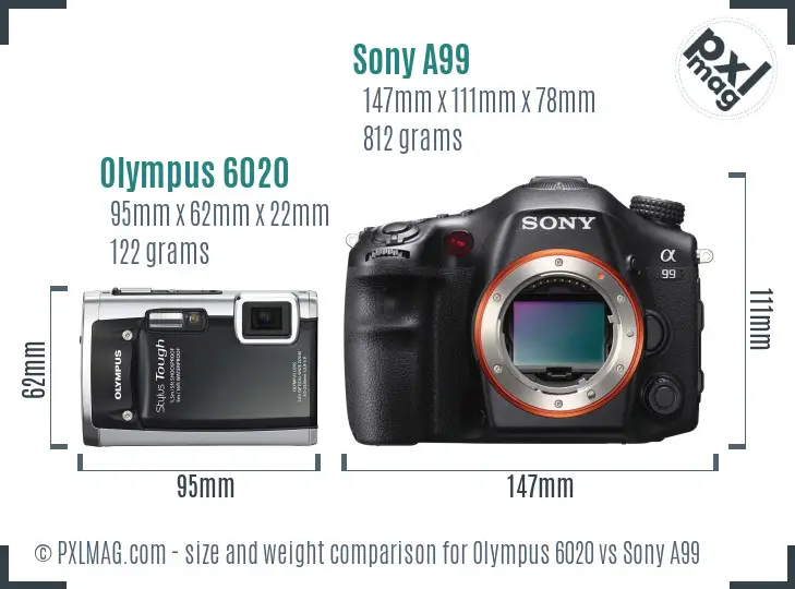 Olympus 6020 vs Sony A99 size comparison
