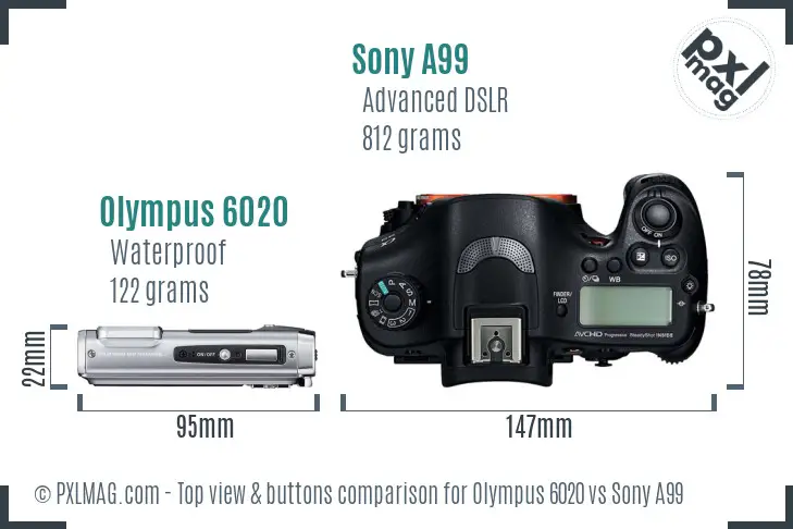 Olympus 6020 vs Sony A99 top view buttons comparison