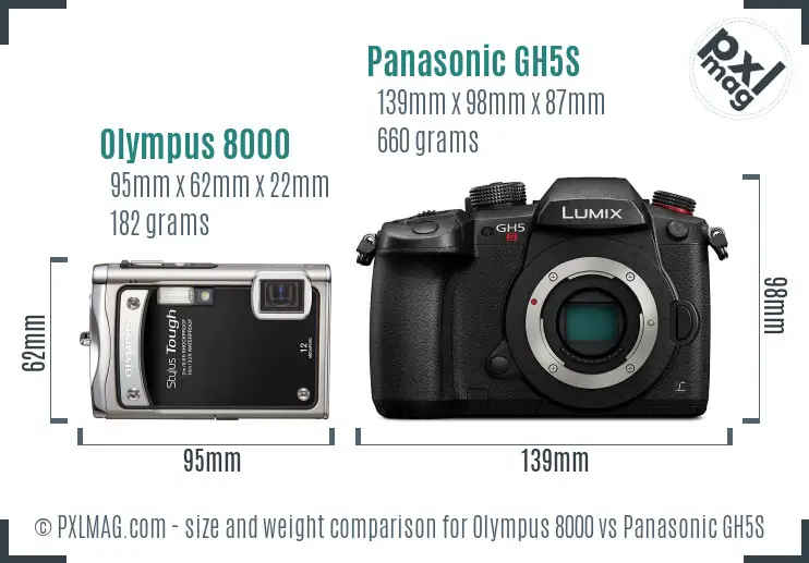 Olympus 8000 vs Panasonic GH5S size comparison