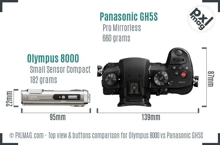 Olympus 8000 vs Panasonic GH5S top view buttons comparison