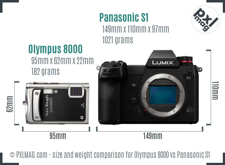 Olympus 8000 vs Panasonic S1 size comparison