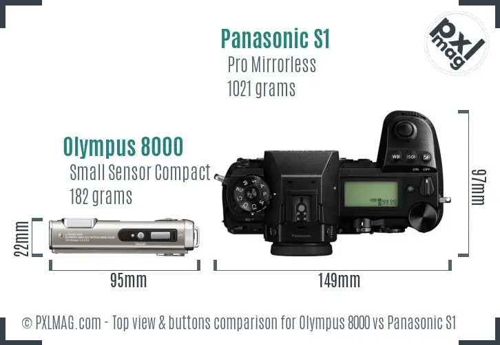 Olympus 8000 vs Panasonic S1 top view buttons comparison
