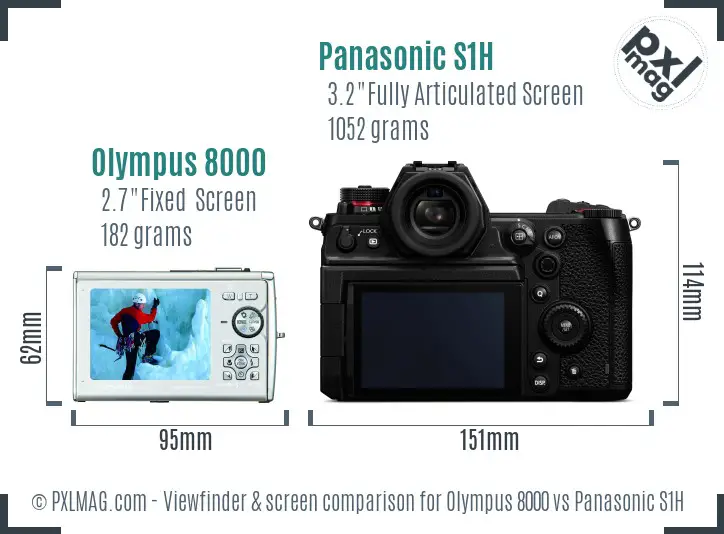 Olympus 8000 vs Panasonic S1H Screen and Viewfinder comparison