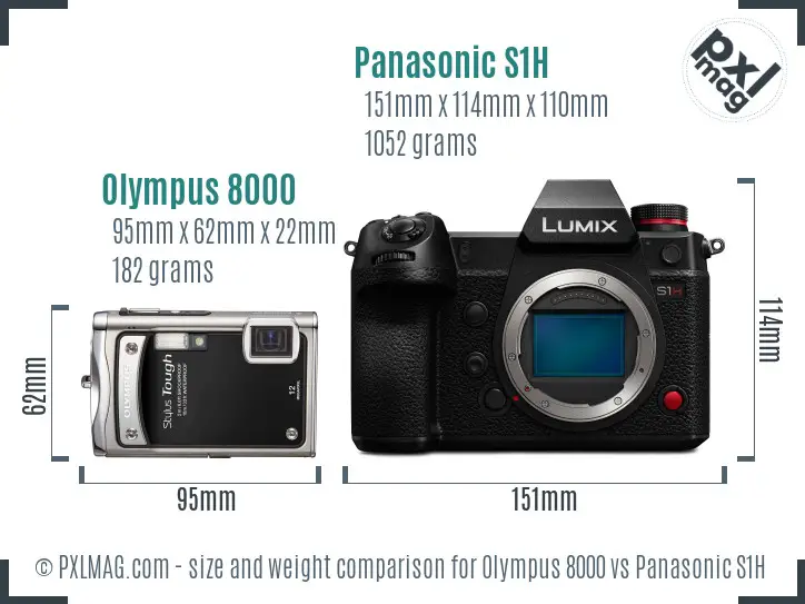Olympus 8000 vs Panasonic S1H size comparison