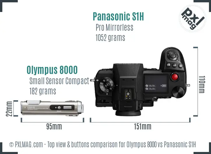 Olympus 8000 vs Panasonic S1H top view buttons comparison