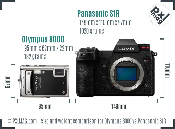 Olympus 8000 vs Panasonic S1R size comparison