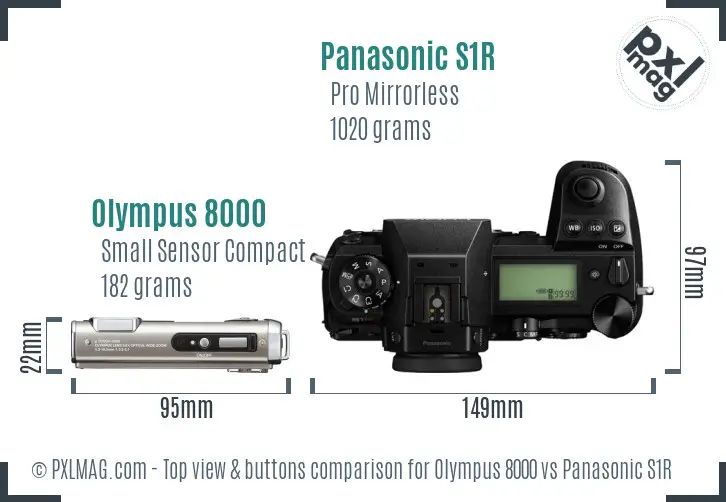 Olympus 8000 vs Panasonic S1R top view buttons comparison