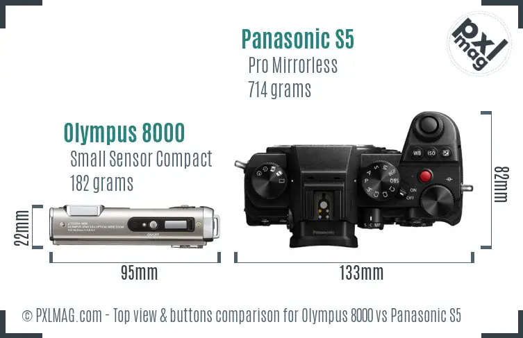 Olympus 8000 vs Panasonic S5 top view buttons comparison