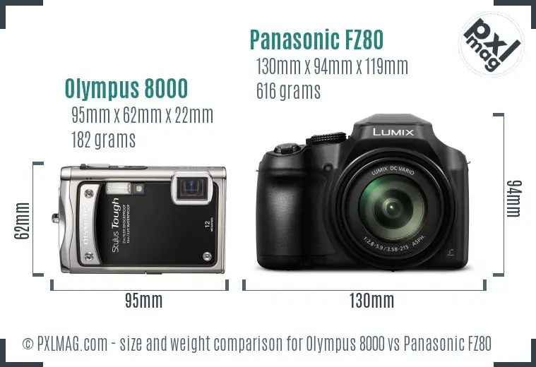 Olympus 8000 vs Panasonic FZ80 size comparison