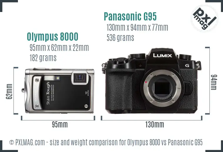 Olympus 8000 vs Panasonic G95 size comparison