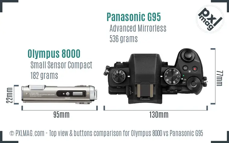 Olympus 8000 vs Panasonic G95 top view buttons comparison