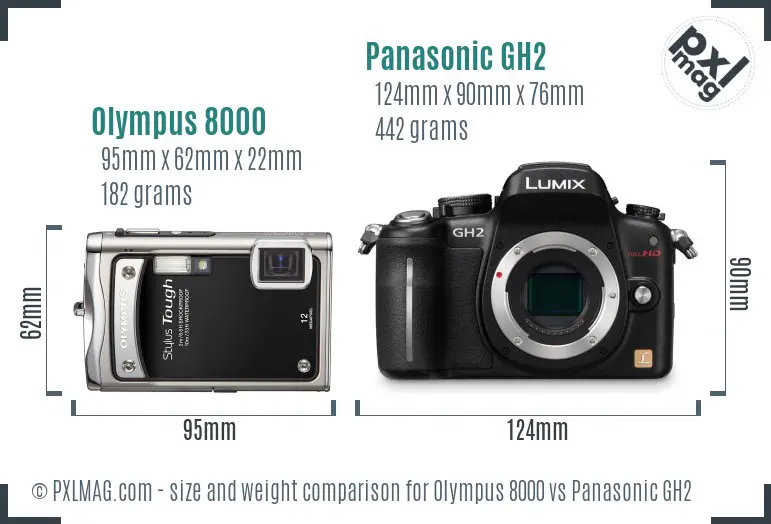 Olympus 8000 vs Panasonic GH2 size comparison