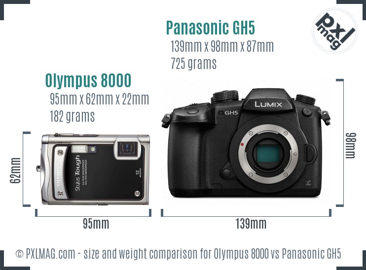Olympus 8000 vs Panasonic GH5 size comparison