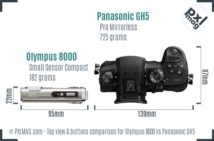 Olympus 8000 vs Panasonic GH5 top view buttons comparison