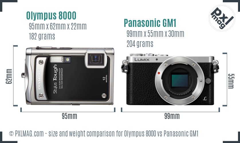 Olympus 8000 vs Panasonic GM1 size comparison