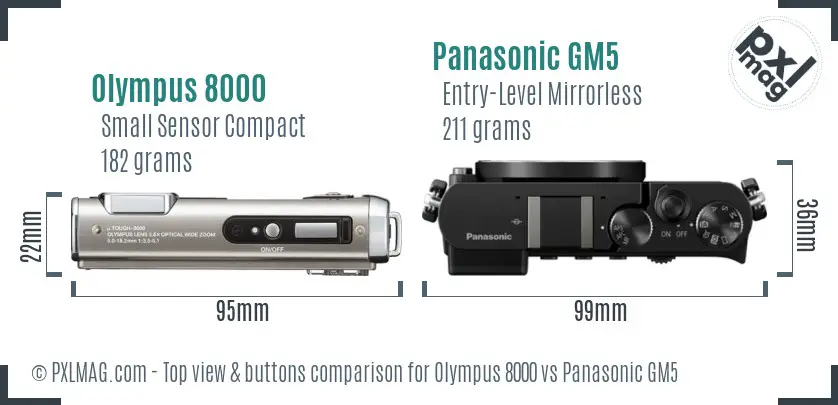 Olympus 8000 vs Panasonic GM5 top view buttons comparison Olympus 8000 vs Panasonic GM5 top view buttons comparison