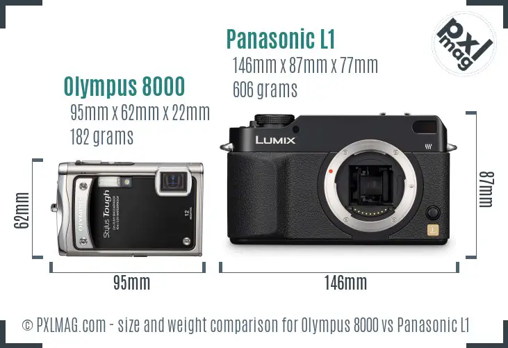 Olympus 8000 vs Panasonic L1 size comparison