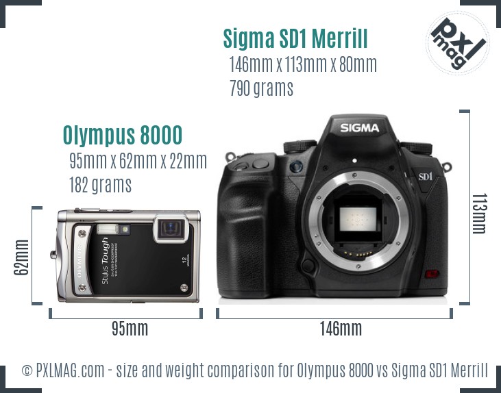 Olympus 8000 vs Sigma SD1 Merrill size comparison Olympus 8000 vs Sigma SD1 Merrill size comparison