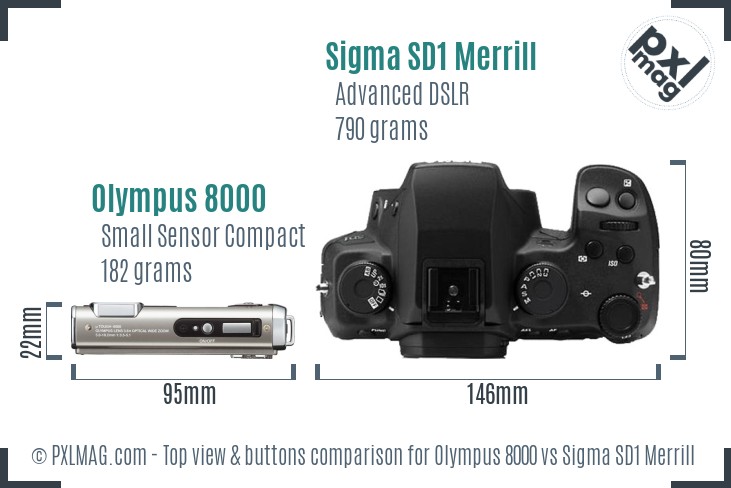Olympus 8000 vs Sigma SD1 Merrill top view buttons comparison