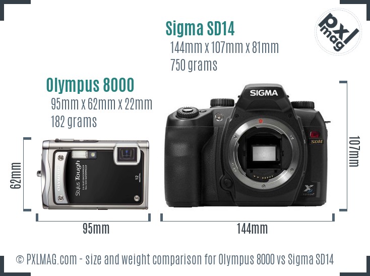 Olympus 8000 vs Sigma SD14 size comparison