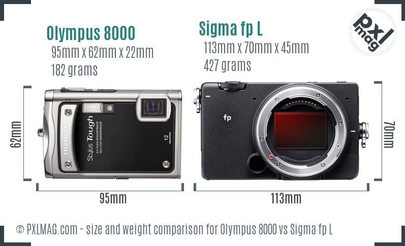 Olympus 8000 vs Sigma fp L size comparison