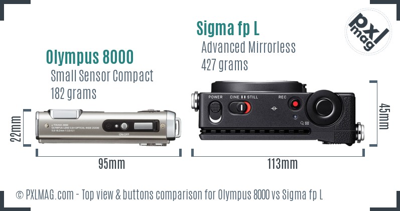 Olympus 8000 vs Sigma fp L top view buttons comparison