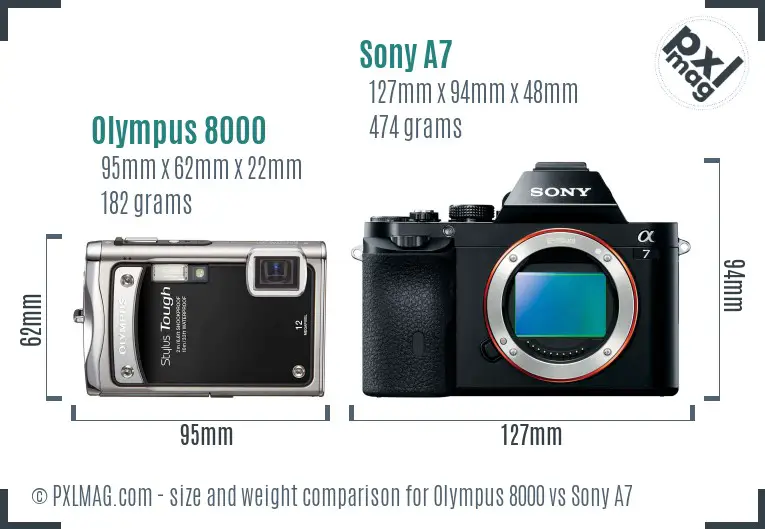 Olympus 8000 vs Sony A7 size comparison