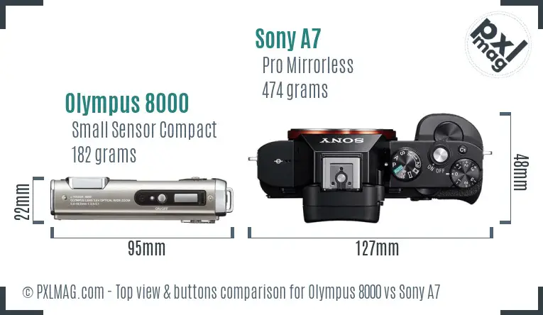 Olympus 8000 vs Sony A7 top view buttons comparison