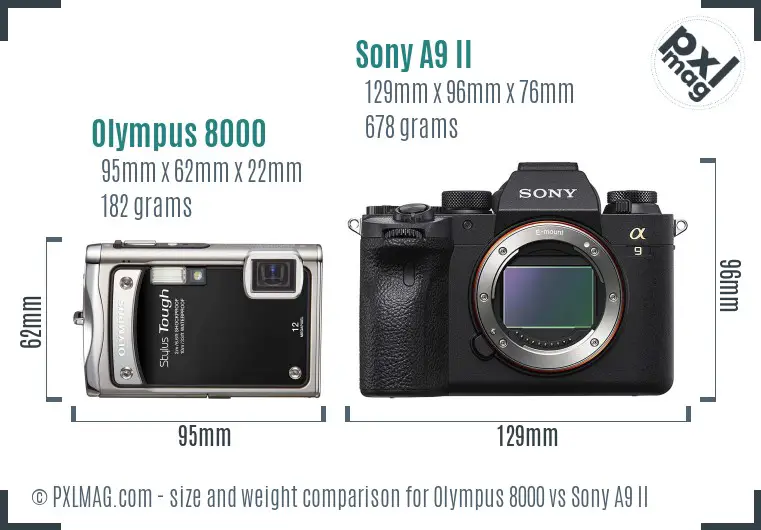 Olympus 8000 vs Sony A9 II size comparison