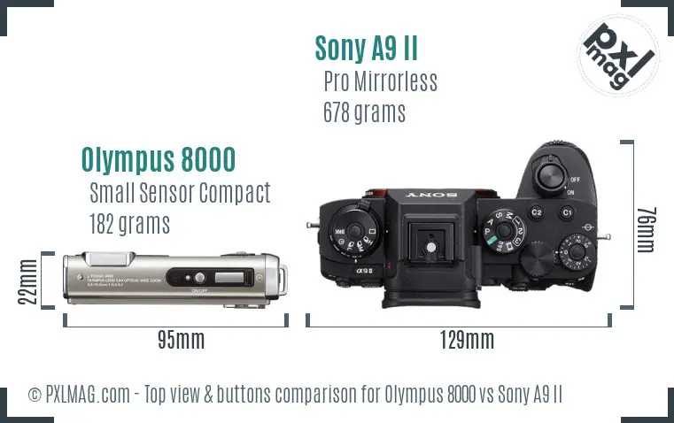 Olympus 8000 vs Sony A9 II top view buttons comparison