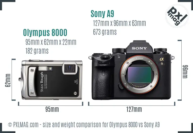 Olympus 8000 vs Sony A9 size comparison