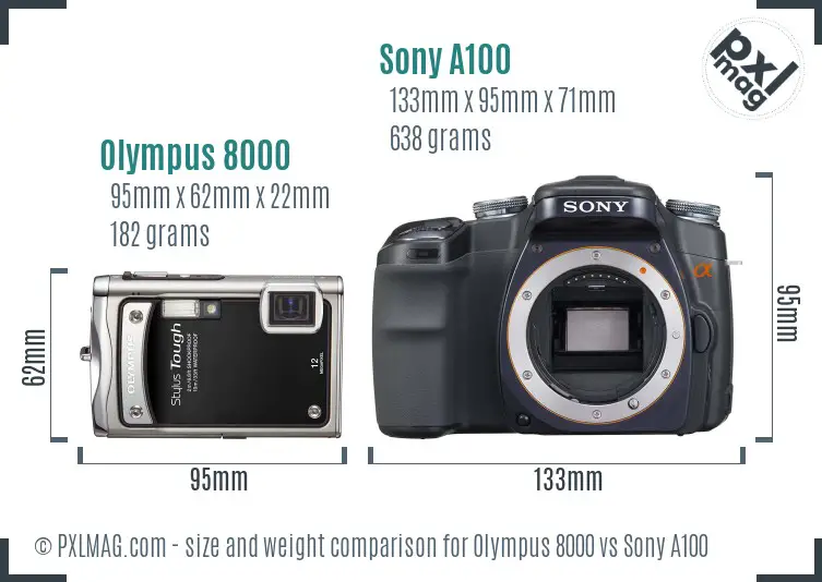 Olympus 8000 vs Sony A100 size comparison