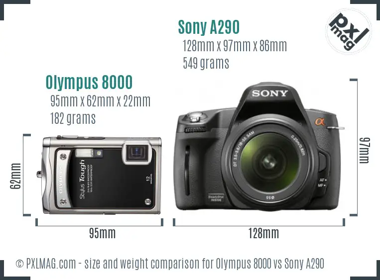 Olympus 8000 vs Sony A290 size comparison