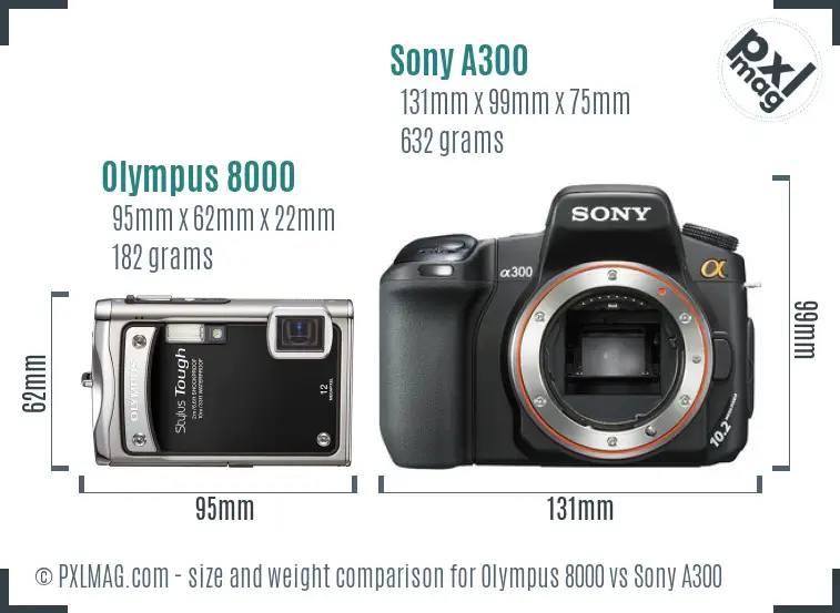 Olympus 8000 vs Sony A300 size comparison