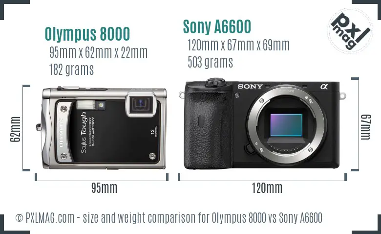 Olympus 8000 vs Sony A6600 size comparison