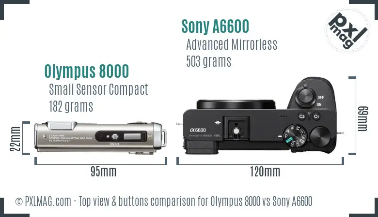 Olympus 8000 vs Sony A6600 top view buttons comparison