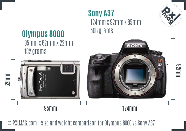 Olympus 8000 vs Sony A37 size comparison