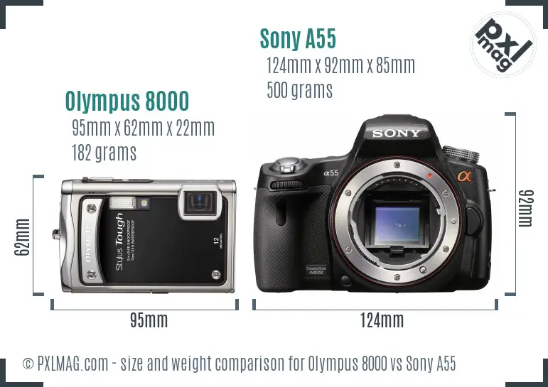 Olympus 8000 vs Sony A55 size comparison