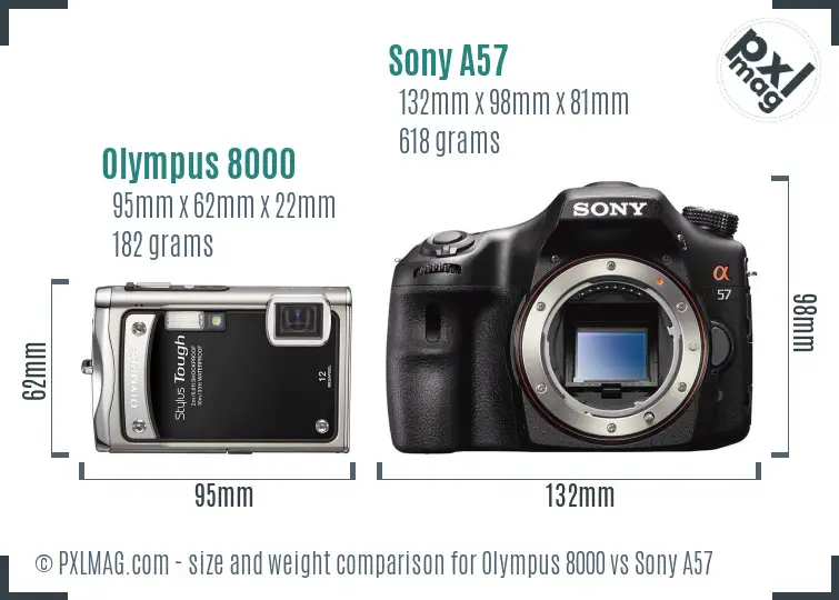 Olympus 8000 vs Sony A57 size comparison