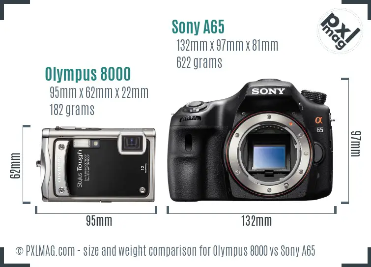 Olympus 8000 vs Sony A65 size comparison