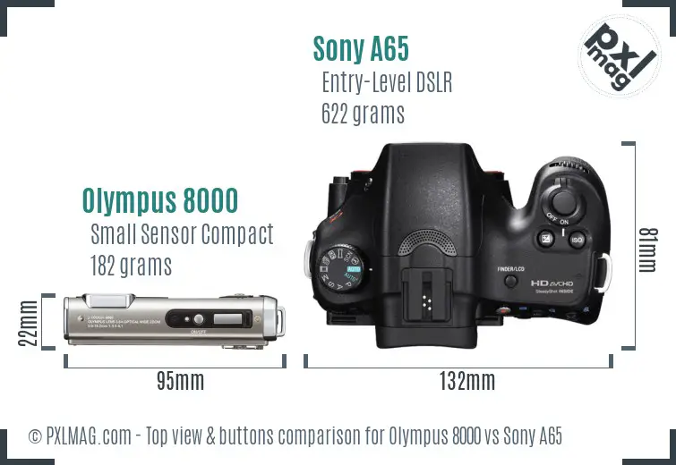 Olympus 8000 vs Sony A65 top view buttons comparison