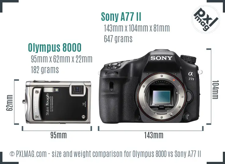 Olympus 8000 vs Sony A77 II size comparison