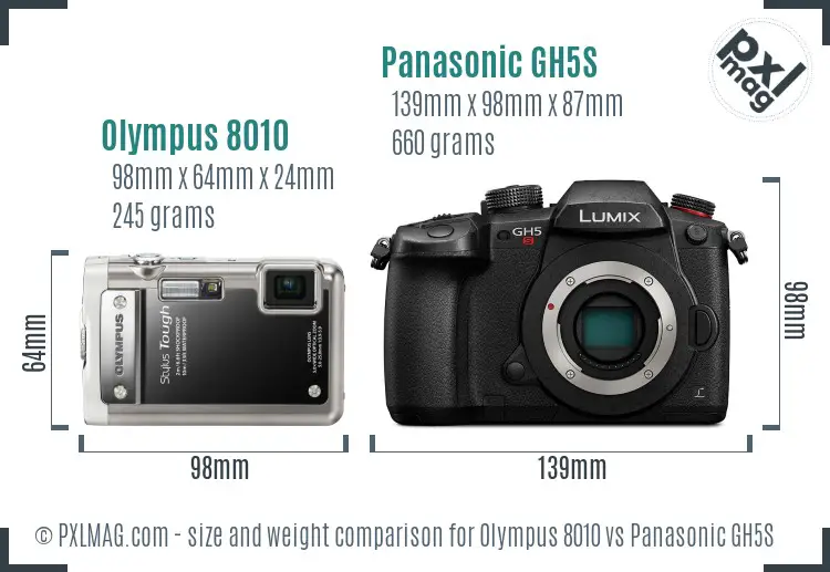 Olympus 8010 vs Panasonic GH5S size comparison