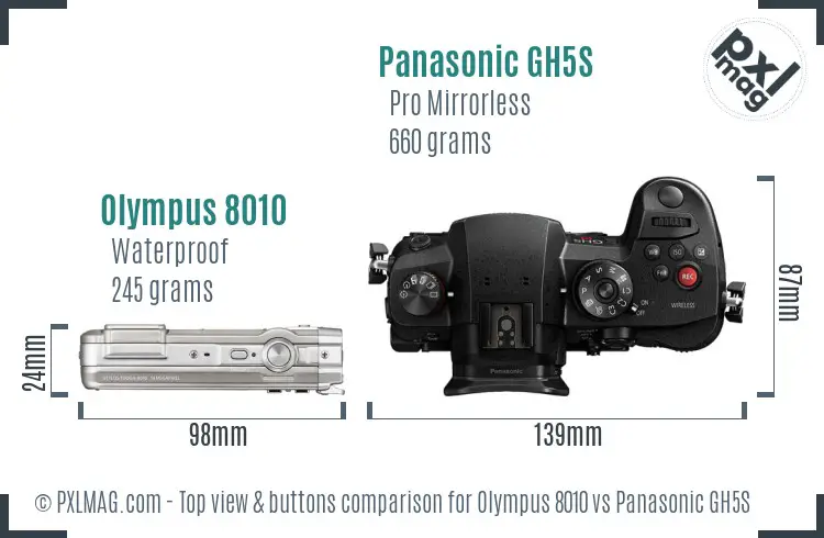 Olympus 8010 vs Panasonic GH5S top view buttons comparison