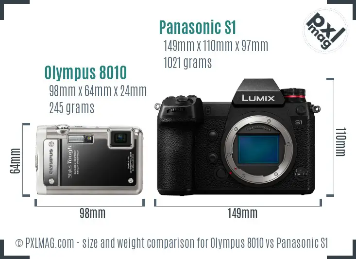 Olympus 8010 vs Panasonic S1 size comparison