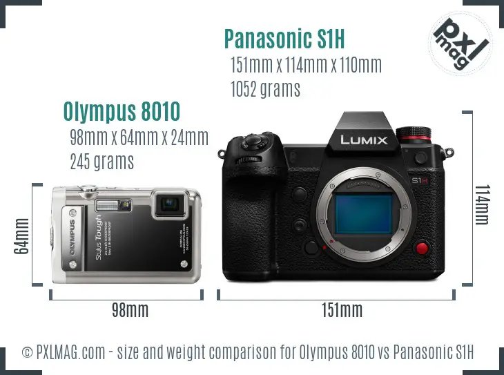 Olympus 8010 vs Panasonic S1H size comparison