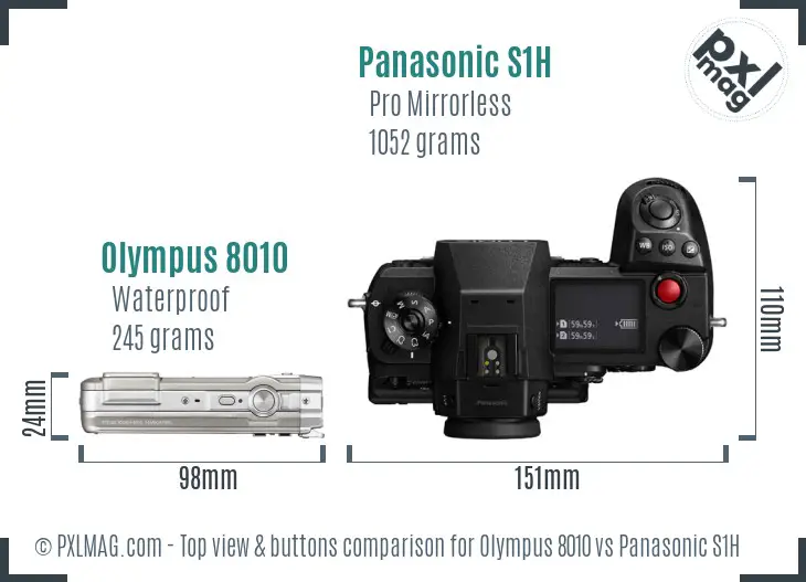 Olympus 8010 vs Panasonic S1H top view buttons comparison