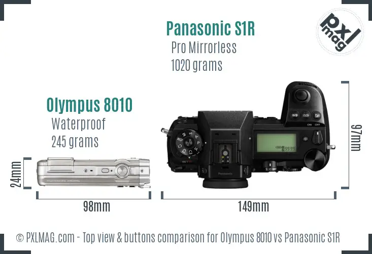 Olympus 8010 vs Panasonic S1R top view buttons comparison