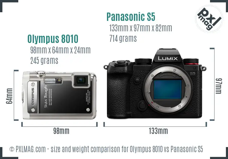 Olympus 8010 vs Panasonic S5 size comparison
