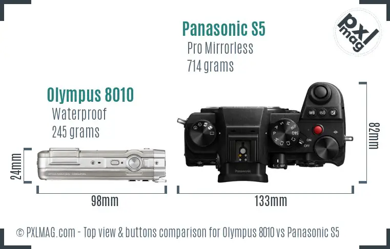 Olympus 8010 vs Panasonic S5 top view buttons comparison